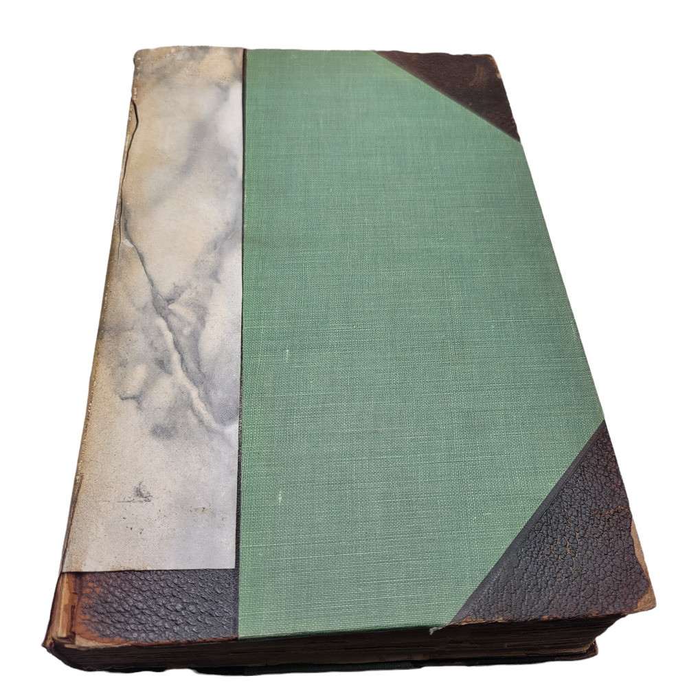 Irish Literature Volumes IX and X by Justin McGarthy 1904 Hardcover Book Antique